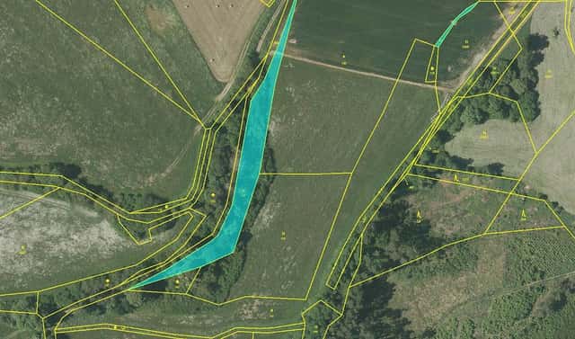 Prodej louky 2 981 m², Mochtín – Újezdec, okres Klatovy
