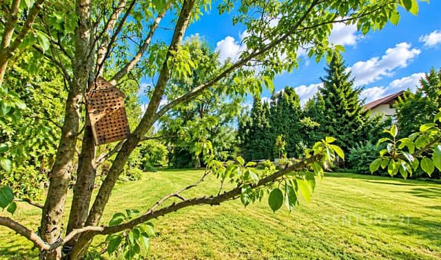 Prodej stavebního pozemku 1 388 m², Tlumačov, okres Zlín