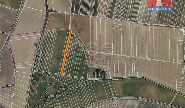 Prodej pole 3 419 m², Starovičky, okres Břeclav