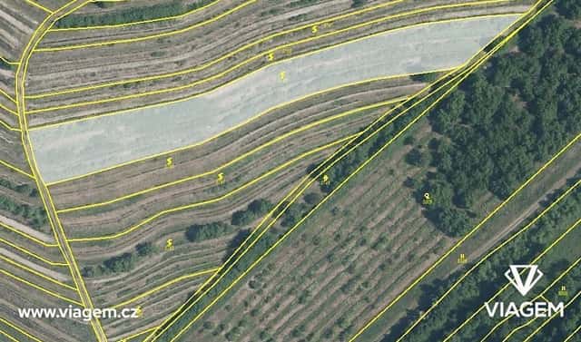 Prodej pole 4 619 m², Lovčičky, okres Vyškov