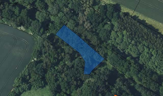 Prodej lesa 357 m², Mšeno, okres Mělník
