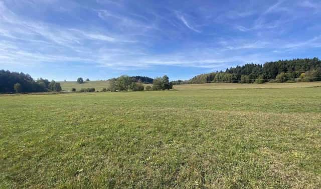 Prodej pozemku 47 764 m², Horní Planá – Žlábek, okres Český Krumlov