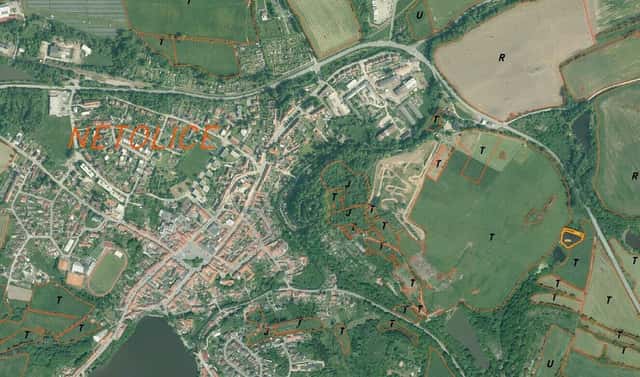 Prodej louky 2 882 m², Mírové Náměstí, Netolice, okres Prachatice