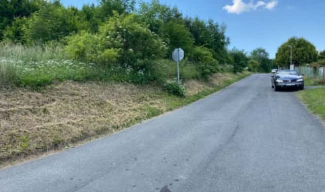 Prodej stavebního pozemku 4 256 m², Sázava, okres Benešov