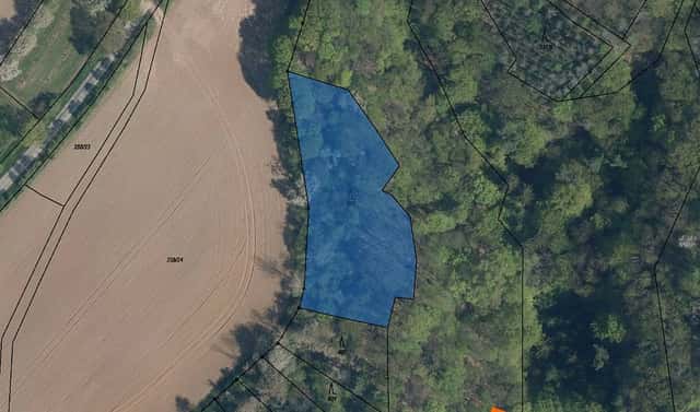 Prodej lesa 1 184 m², Mšeno, okres Mělník