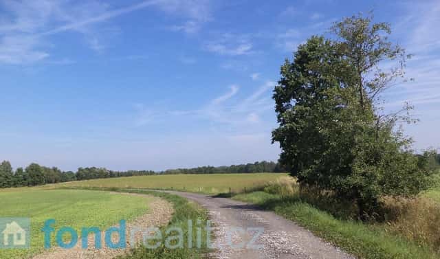 Prodej pozemku 3 240 m², Čejetice – Mladějovice, okres Strakonice