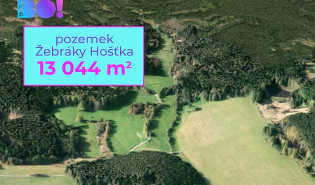 Prodej pole 13 044 m², Hošťka, okres Tachov