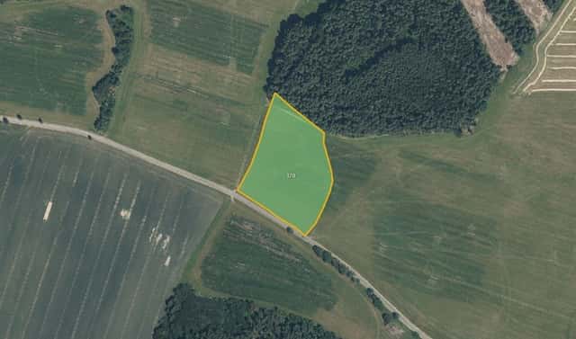 Prodej pole 8 875 m², Hostouň – Holubeč, okres Domažlice