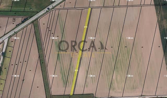 Prodej pole 1 904 m², Strachotín, okres Břeclav