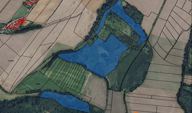 Prodej lesa 7 177 m², Hořice, okres Jičín