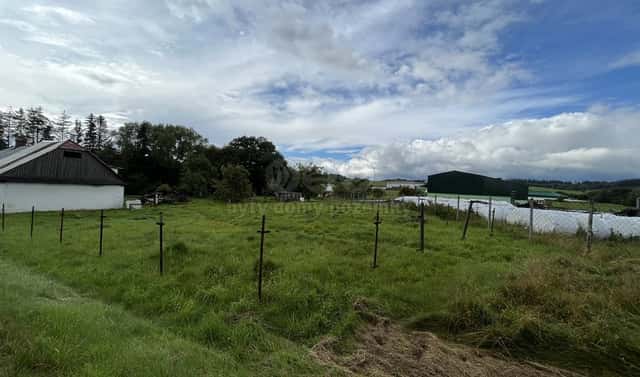 Prodej pole 552 m², Budišov nad Budišovkou – Guntramovice, okres Opava