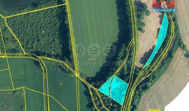 Prodej lesa 6 063 m², Úvalno, okres Bruntál