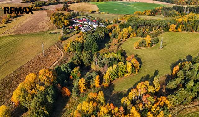 Prodej louky 38 114 m², Lom u Tachova, okres Tachov