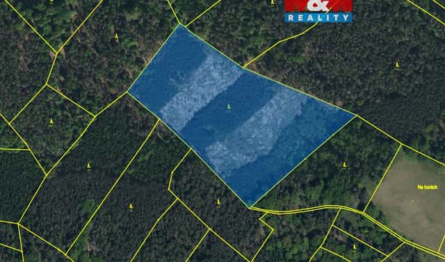 Prodej lesa 24 923 m², Jankovice – Kozašice, okres Pardubice