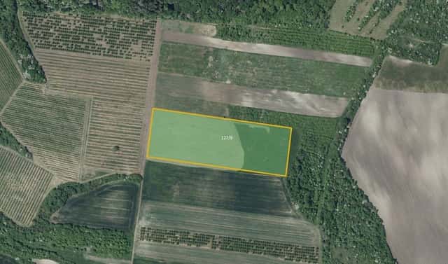 Prodej pole 25 653 m², Želkovice, okres Louny