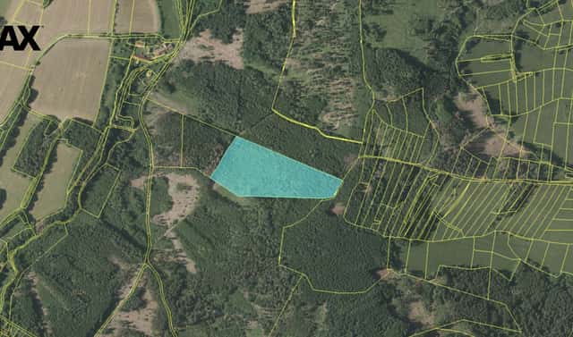 Prodej lesa 33 347 m², Myslív, okres Klatovy