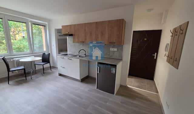 Pronájem bytu 1+kk 25 m², Táborská, Plzeň – Východní Předměstí, okres Plzeň-město