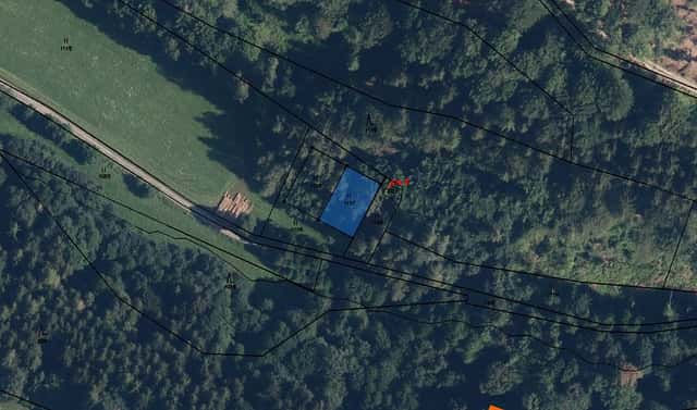 Prodej lesa 400 m², Bratrušov, okres Šumperk