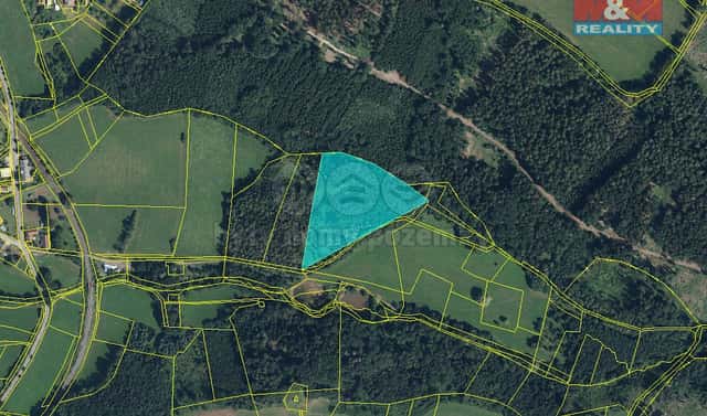 Prodej lesa 15 253 m², Libuň – Jivany, okres Jičín