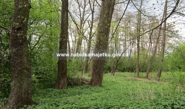 Prodej pozemku 255 m², Letohrad, okres Ústí nad Orlicí