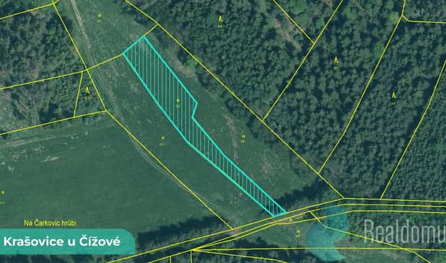 Prodej louky 1 215 m², Čížová, okres Písek
