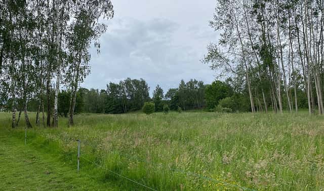 Prodej stavebního pozemku 1 344 m², Varnsdorf, okres Děčín