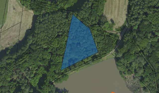 Prodej lesa 705 m², Chlístovice, okres Kutná Hora