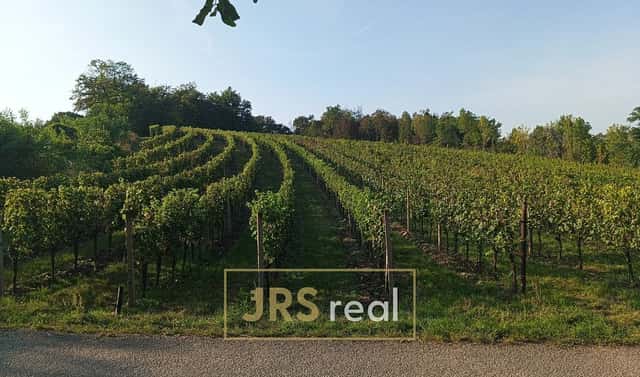 Prodej pole 3 399 m², Mutěnice, okres Hodonín