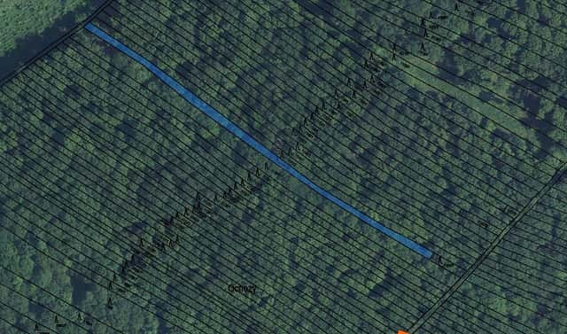 Prodej lesa 284 m², Čejkovice, okres Hodonín