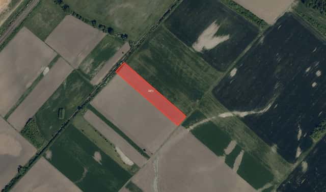 Prodej pole 15 394 m², Domanín, okres Hodonín