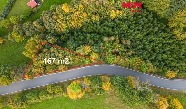 Prodej lesa 467 m², Kosov, okres Šumperk
