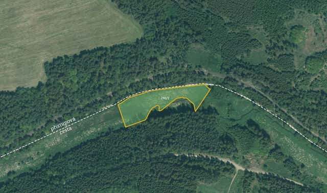 Prodej louky 4 514 m², Bor – Skviřín, okres Tachov