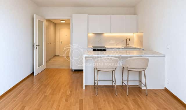 Pronájem bytu 1+kk 36 m², Švarcova, Praha 8 – Karlín