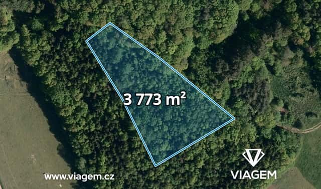 Prodej lesa 1 886 m², Vizovice, okres Zlín