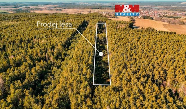 Prodej lesa 18 382 m², Olešnice, okres České Budějovice