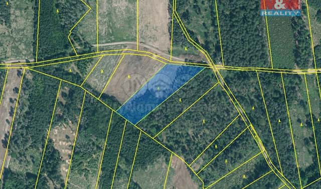 Prodej lesa 15 115 m², Jetětice, okres Písek