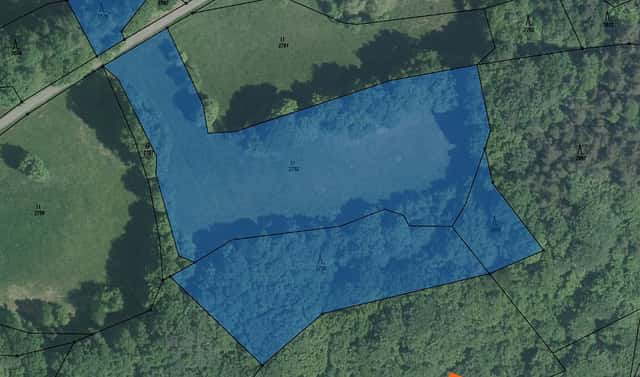 Prodej lesa 6 868 m², Lutonina, okres Zlín