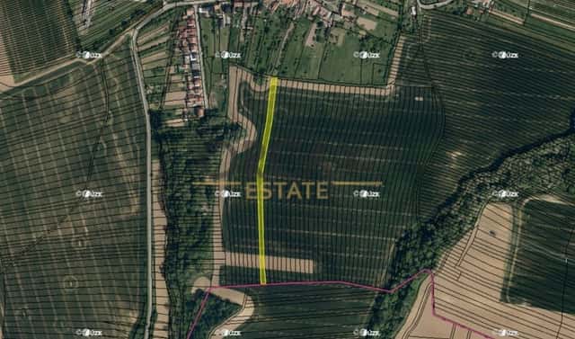 Prodej pole 1 646 m², Vřesovice, okres Hodonín