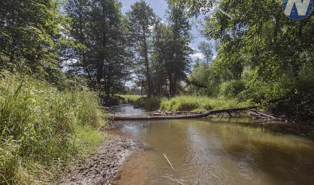 Prodej vodní plochy 1 939 m², Planá, okres Tachov