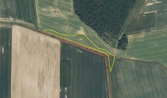 Prodej pole 10 487 m², Poběžovice – Zámělíč, okres Domažlice
