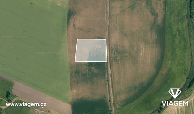 Prodej pole 5 890 m², Čachovice, okres Mladá Boleslav
