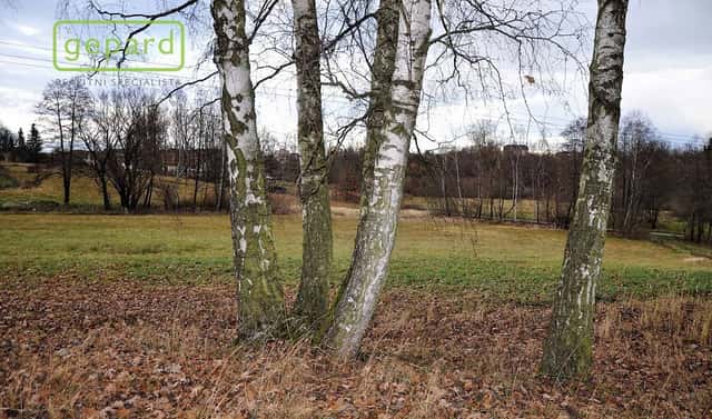 Prodej pole 4 674 m², Trhové Sviny, okres České Budějovice