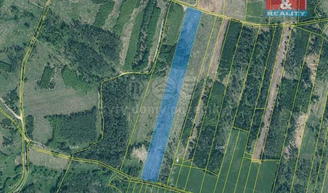 Prodej lesa 33 230 m², Jetětice, okres Písek