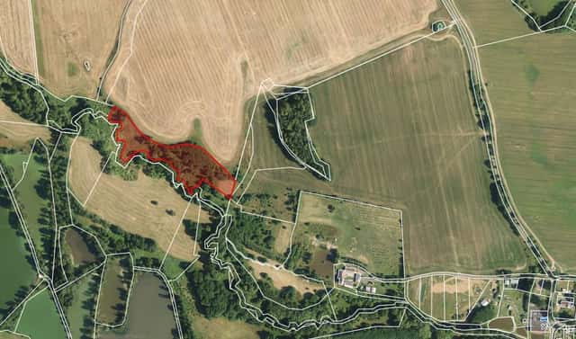 Prodej pozemku 11 892 m², Františkovy Lázně – Krapice, okres Cheb