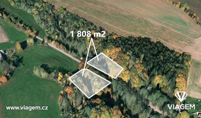 Prodej lesa 516 m², Úbislavice, okres Jičín