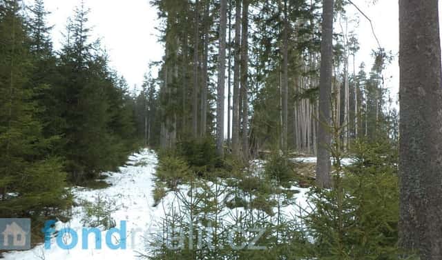 Prodej pozemku 1 694 m², Nová Bystřice – Blato, okres Jindřichův Hradec