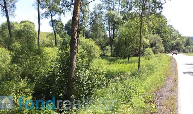 Prodej pozemku 18 903 m², Dolní Dvořiště – Jenín, okres Český Krumlov