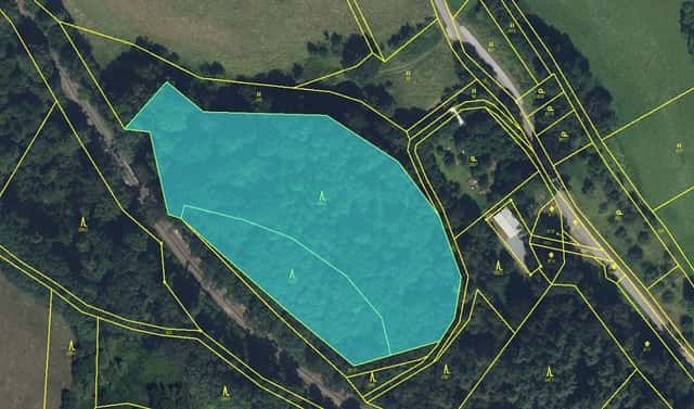 Prodej lesa 11 566 m², Kuks – Dobříč, okres Trutnov