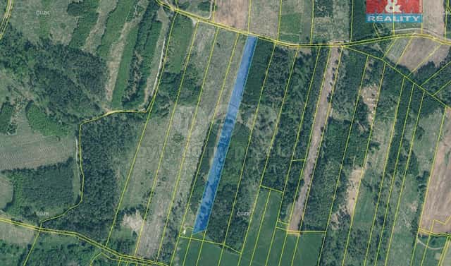 Prodej lesa 13 685 m², Jetětice, okres Písek
