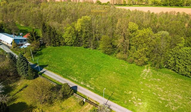 Prodej stavebního pozemku 2 596 m², Hrubá Skála – Rokytnice, okres Semily